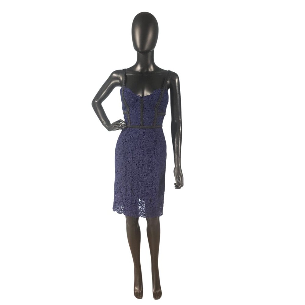 Blue Lace/Black Accent Sheath Dress - Express
